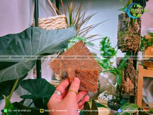 Cinta de Fibra de Coco (COIR TAPE) de Material Sostenible para Aplicaciones de Cuidado de Árboles y Promoción de Prácticas de Jardinería Ecológicas - Product Image 6