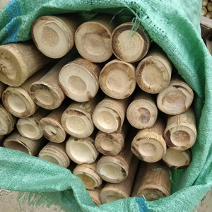 Varas de Bambú Natural de Fábrica Vietnamita para Construcción y Muebles, Material de Construcción, Fabricante Mayorista, Exportación - Product Image 1