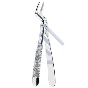 Fórceps de extracción dental certificados CE No.51L Raíces superiores manuales Acero inoxidable con base de patrón inglés Instrumentos quirúrgicos - Product Image 1