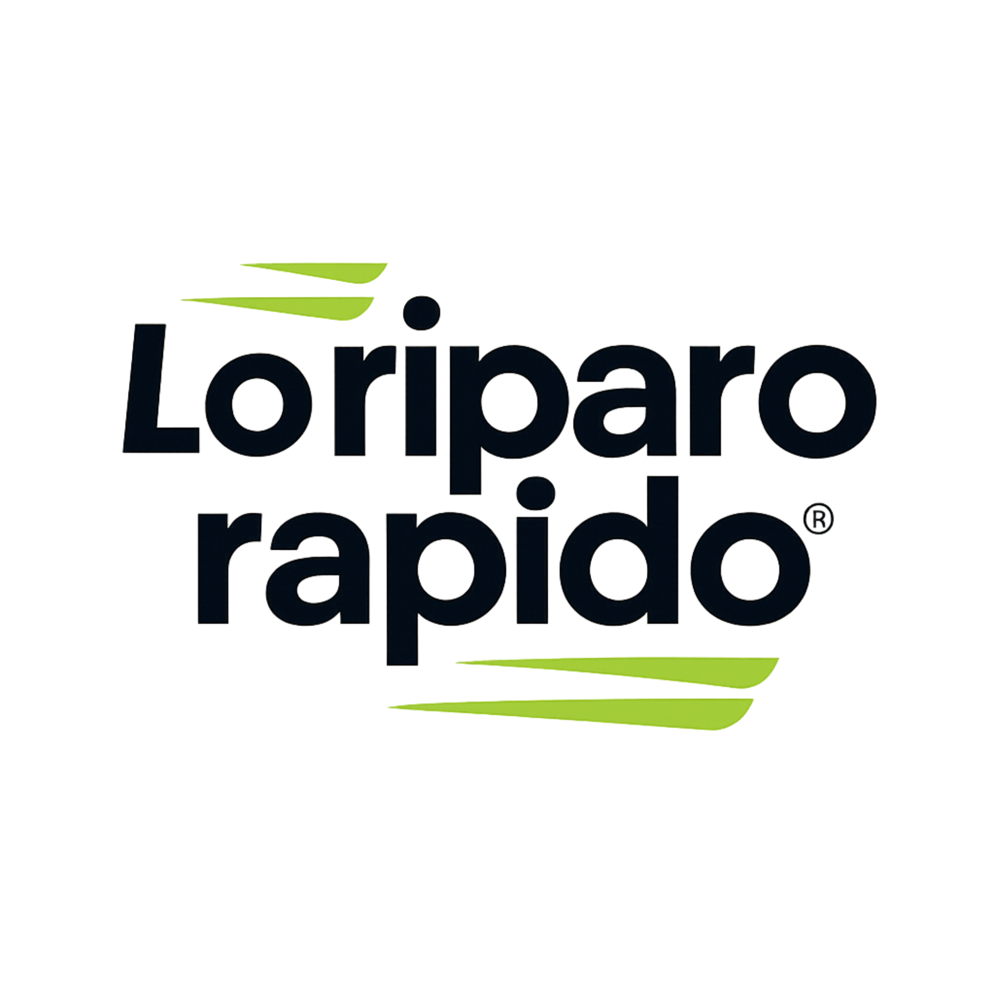 LO RIPARO RAPIDO SRL logo