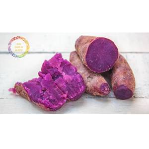 Igname Violette et Jaune Congelée Entière Sans Peau à Bas Prix pour le Marché Coréen – Vente Directe Usine, Prix de Gros, Approvisionnement en Vrac - Product Image 6