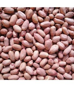 Mejores Cacahuetes Orgánicos Jumbo Secos al por Mayor de Fábrica, 100% Naturales, Mezclados, Sin Cáscara, Crudos, de Primera Calidad, de Shandong, China - Product Image 4