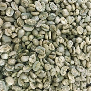 Vietnam USDA Organic Robusta Green Coffee <b>Beans</b> Size 18 Low Defect 0.1% 100% Natural TNFOOD Brand AA+ Grade 12.5% Moisture - Product Image 1