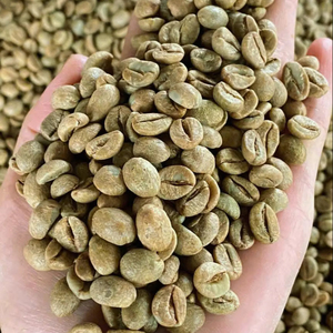 Granos de Café Verde Robusta Orgánico, Tamaño 16, Vietnam, Grado Superior AA+, Marca TNFOOD, 24 Meses de Vida Útil, Proveedor de Exportación Directa Global - Product Image 1