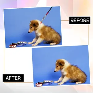 Servicio Profesional de Edición de Imágenes de Mascotas con Retoque de Pelaje y Mejora de Aspecto Natural Disponible en Cantidad al por Mayor - Product Image 6