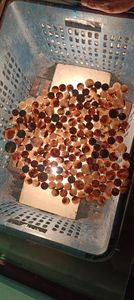 Botones de Cuerno de Buey Auténtico Tallado, Duraderos, Opciones de Color Natural para Prendas de Vestir, Fabricante en India, Alemania - Product Image 5