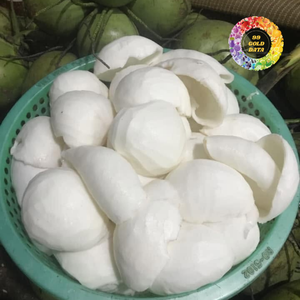เนื้อมะพร้าวน้ำหอมแช่แข็ง IQF คุณภาพเยี่ยม น้ำหนัก 1 กก. จากแหล่งผลิตเบนเต้ ราคาสุดคุ้ม พร้อมขายส่งจากเวียดนาม-CARYLN - Product Image 4
