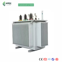 Transformateur de distribution immergé dans l'huile APEX S13-M 400-2500 kVA 33-35 kV 380-415 V Triphasé 50 Hz 60 Hz pour postes de transformation des réseaux électriques