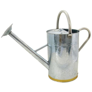 Traditional Vintage Garden Watering Can With Removable Galvanized Steel Metal Watering Can For Indoor & Outdoor Plants - Product Image 1