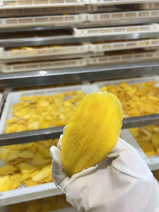 Bandes de mangue séchées IQF bio authentiques - Pur fruit exotique enrobé sous vide pour mélange de fruits secs et pâtisseries - Product Image 4