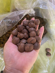 ถั่วซาชินัทอบแห้งจากเวียดนาม เนื้อแข็ง รสหวาน บรรจุในถุง/ คุณลิมา - Product Image 4