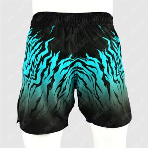 Shorts MMA de bonne qualité pour homme, impression de logo personnalisée, shorts de grappling, vêtements de sport, shorts d'entraînement de grappling. Shorts pour hommes - Product Image 2