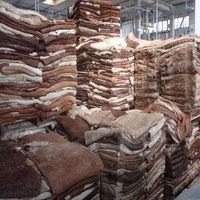 Pieles de vaca saladas de alta calidad, resistentes a las arrugas, a precio mayorista económico para cinturones, muebles, bolsos, equipaje y prendas de vestir.