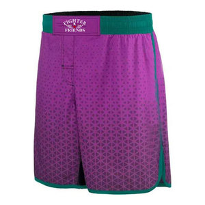 Shorts MMA légers pour hommes, séchage rapide, entraînement, combat, logo personnalisé, vêtements de sport, fabricant OEM - Product Image 4