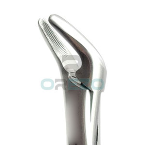 Prix de gros - Forceps d'extraction dentaire manuels certifiés CE de haute qualité pour usage clinique, fabriqués au Pakistan - Product Image 6