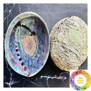 Iridescent <b>Abalone</b> <b>Shell</b> Material for Jewelry Making Handmade Accessories Pendant Craft Art and Creative Design - Product Image 5