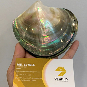 วัสดุงานฝีมือเปลือกหอยทำมือ เปลือกหอยเป๋าฮื้อ ของตกแต่งจากเวียดนาม โรงงานขายส่ง แผ่นมุก ของใช้ในครัว - Product Image 1