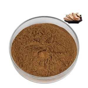 Extrait de Tongkat Ali 100 % pur en gros 10:1 – Poudre de racine d'Eurycoma Longifolia de qualité supérieure pour soutenir l'énergie, la résistance et la vitalité - Product Image 1