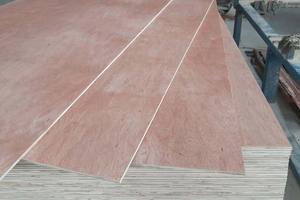 Fomex Greenwood Bintangor, Diseño Moderno, Madera Contrachapada de Doble Cara de Primera Clase, 18 mm, E1 Formaldehído, 1 Año de Garantía, Recubrimiento de Melamina - Product Image 3