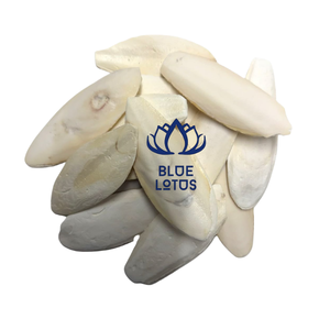 BEST SELLING BLUE LOTUS Os de Seiche Durable de Haute Qualité, Pur, Riche en Calcium, Complément Alimentaire Minéral pour Oiseaux, Exportation en Vrac - Product Image 1