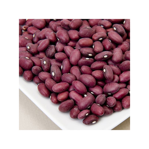Frijol Rojo a Granel de Bajo Precio, Calidad de Exportación, Envío Rápido - Product Image 3