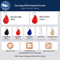 MIFARE(R) Classic 1K RFID Key Fob 13.56MHz Tahan Air Mini Key Tag untuk Akses Bangunan Hotel dan Keanggotaan