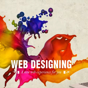 ดีที่สุดวีโอไอพี EComerce นักออกแบบบริษัทพัฒนาเว็บไซต์ CMS บริการพัฒนาเว็บไซต์มือถือซอฟต์แวร์รุ่นองค์กร - Product Image 5