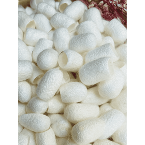 Capullo de seda natural, material de capullo seco para la fabricación de hilos textiles, decoración artesanal y uso en la moda, Vietnam - Product Image 2