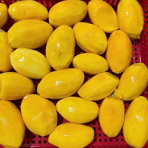 Mejillas de Mango Congeladas IQF de Primera Calidad al por Mayor a Precio Económico con Proceso de Preservación de Agua, Fruta Congelada de Alta Calidad - Product Image 1