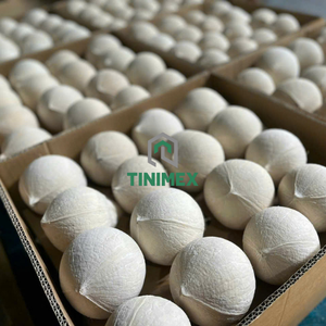 Noix de coco polie fraîche Vietnam pour le marché du Moyen-Orient - Product Image 2