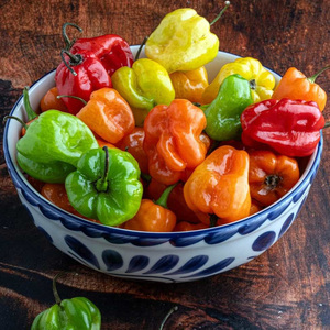 Chiles Habanero Amarillos Picantes Naturales Frescos, Proveedor al por Mayor, Chiles de Calidad de Exportación para Importadores y Distribuidores Internacionales - Product Image 5