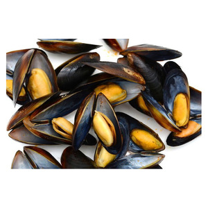 Mariscos congelados a bajo precio, mejillones en media concha. - Product Image 1