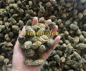 Rodajas de Melón Amargo Silvestre Deshidratado para Té, Ingrediente Natural para Bebidas, Exportación a Granel desde Fábrica en Vietnam - Product Image 3