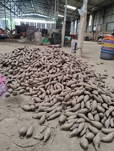 Batata Morada Congelada de Vietnam, Camote, Boniato, Camote Morado, IQF, BQF, Fabricante, Calidad de Exportación - Product Image 6