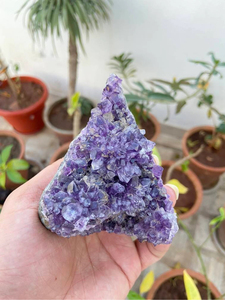 Amethyst Druzy <b>Cluster</b> | Natural Purple <b>Crystal</b> Geode Display | Mineral Specimen Home Decor & Gift - Product Image 1