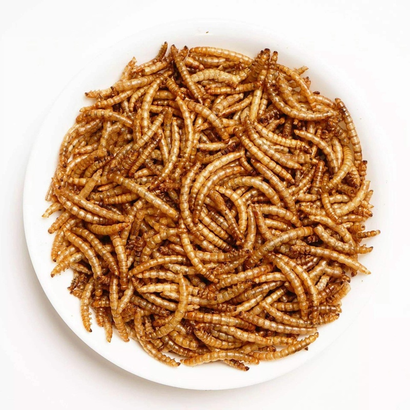 100 Pure Dried Mealworm Powder High