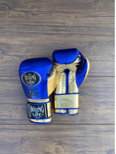 No Boxing No Life Canelo Real Cowhide Leather Lightweight Full Finger Breathable Boxing Gloves Mexican Style Hook and Loop - Product Image 1