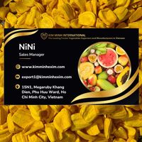 Topverkochte gevriesdroogde 100% jackfruit, zoete smaak, Vietnamese oorsprong, voedingsrijk, biologisch, gekonfijt fruit, vacuüm verpakt