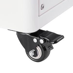 Essiccatore a Congelamento con Timer Regolabile, Capacità 4-6 kg/lotto, 4 Vassoi per Essiccazione Frutta e Verdura - Product Image 4