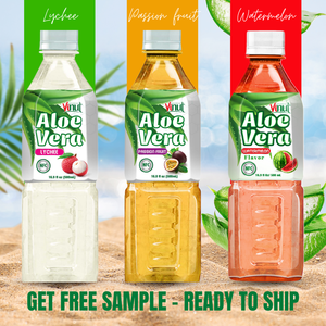 Bebidas Saludables de Jugo de Aloe Vera con Pulpa de Aloe, Sabor a Fruta, 500 ml, Botella de PET, OEM, ODM, Muestra Gratuita, Logotipo Personalizable - Product Image 5