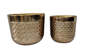 Linea Exports Inc. Macetas Metálicas Hechas a Mano Más Vendidas, Nuevos Diseños de Decoración de Jardín en Hierro, Recubrimiento en Polvo, Aplicación Doméstica, Venta al Por Mayor - Product Image 6