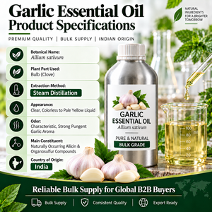 Fournisseur en gros d'huile essentielle d'ail pour les acheteurs internationaux, achat en gros et approvisionnement en matières premières botaniques - Product Image 2