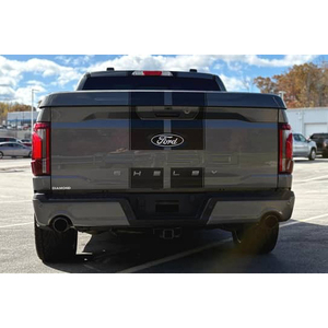 Ford F-150 Shelby Super Snake 2024 - Product Image 5
