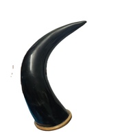 Corne de taureau LONGHORN faite à la main, montée, de 3 pieds à 3 pieds 5 pouces de large (UN SEUL exemplaire), cornes de vache polies, décoration western