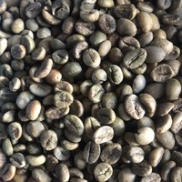 Café Vert Robusta du Vietnam, Grains Taille 13, 2% Non Torréfiés, Bruts, Export en Vrac, Saveur Forte, Fournisseur de Café pour Mélanges Commerciaux