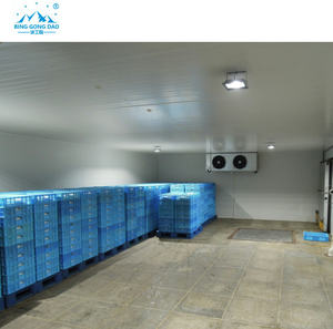 Çok satan yeni yüksek kaliteli taşınabilir soğuk oda çin tedarikçisi özelleştirilmiş düşük fiyat soğuk depolama soğutma odası - Product Image 3