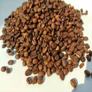 Nouvelle Saison Grains de Café Arabica Torréfiés Indiens 100% Pur Sélection Premium pour Grands Torréfacteurs Mondiaux Approvisionnement en Gros Marchés d'Exportation - Product Image 2