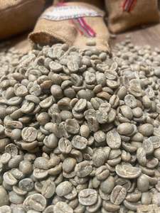 Venta al por Mayor de Granos de Café Verde Robusta Orgánico de Vietnam, Tamaño 16, Grado AA+, Certificación ISO 22000, Marca TNFOOD, Directamente de Fábrica - Product Image 5