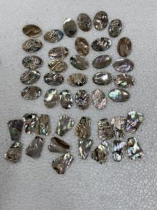 เปลือกหอยเป๋าฮื้อขัดเงาธรรมชาติ |   เปลือกหอยเปาอ่าสีรุ้งสำหรับงานสมัดจิ้งจอก งานเครื่องประดับ และของตกแต่งบ้าน - Product Image 3