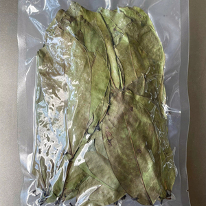 Hojas de guanábana secas para té de hierbas, precio competitivo de fábrica, Vietnam - Product Image 1